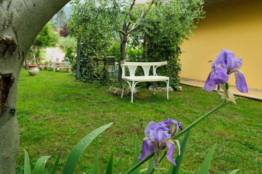 Residenza Cieloterra Konuk evi Rivotorto Dış mekan fotoğraf